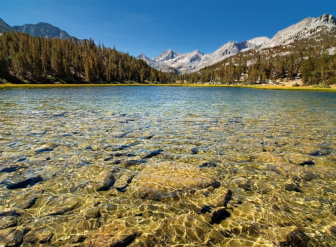Marsh Lake  2007 Little Lakes Valley, Eastern Sierra, California   Joshua Cripps (b. 1981) digital print Courtesy of the artist L2013.3191.006