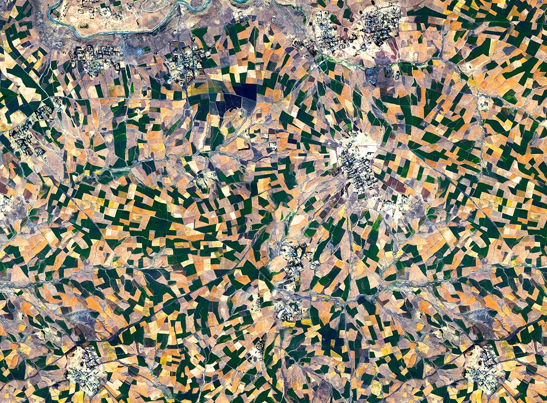 Agricultural Development, Addis Ababa, Ethiopia  2015