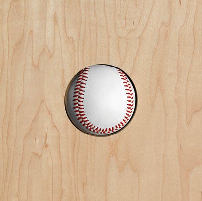 The Perfect Pitch  2012