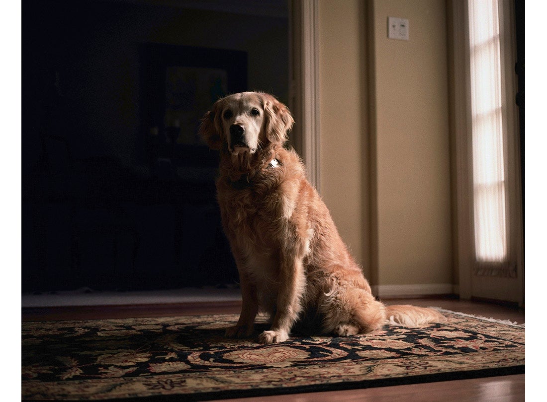Bretagne, age 13, Cypress, TX  2011