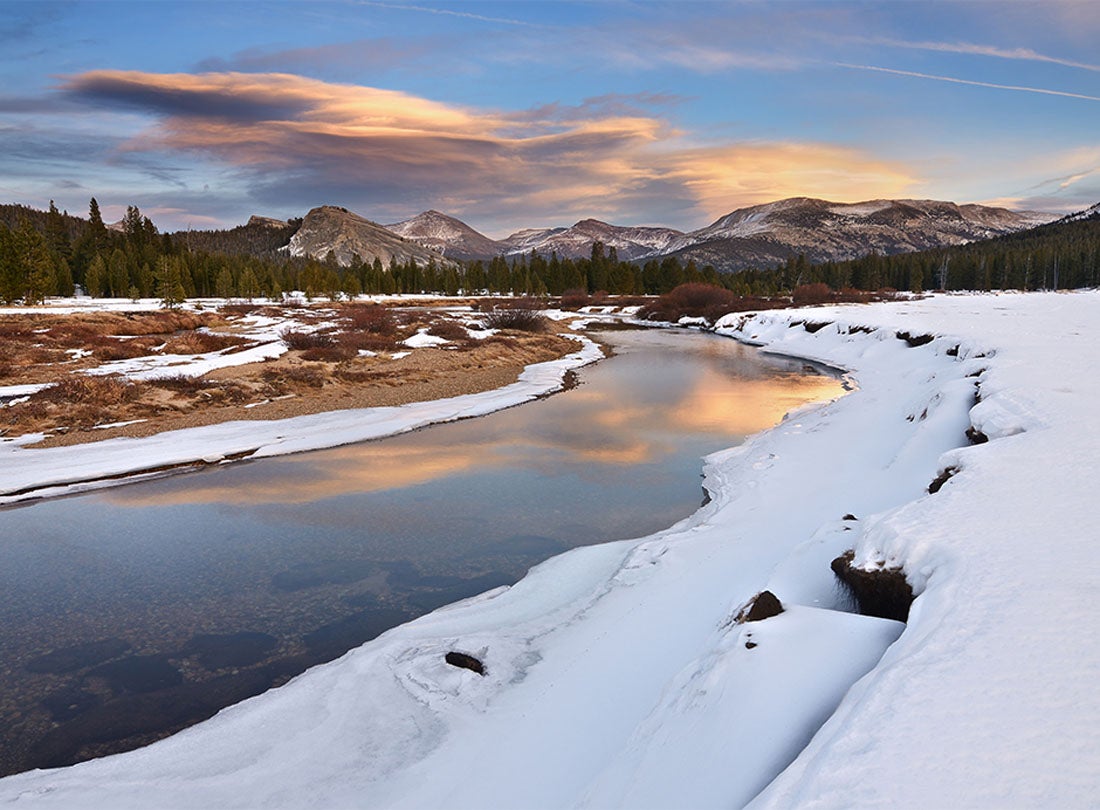 Tuolumne Tundra  2011 Tuolumne Meadows, Yosemite National Park, California   Joshua Cripps (b. 1981) digital print Courtesy of the artist L2013.3191.014