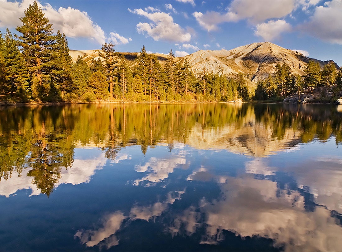 Secret Lake  2007  Walker River Valley, Eastern Sierra, California   Joshua Cripps (b. 1981) digital print Courtesy of the artist L2013.3191.015