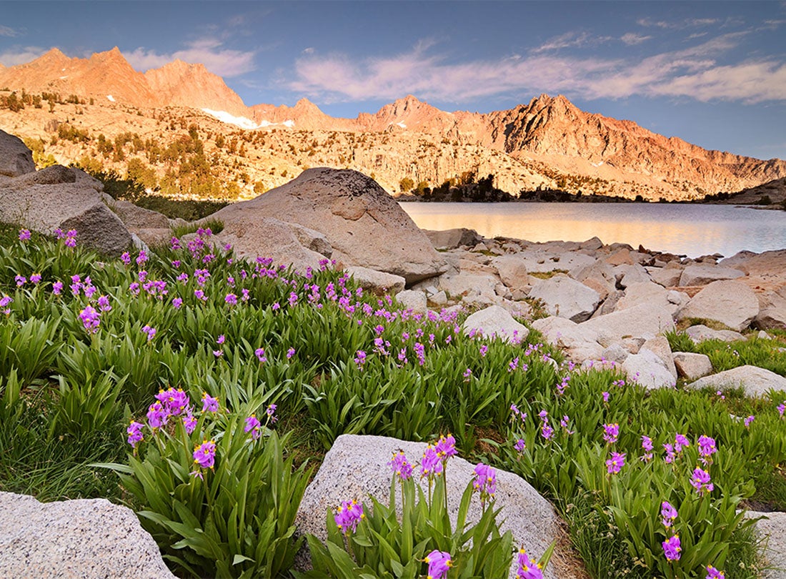 Shooting Star by Midnight  2011 John Muir Wilderness, Eastern Sierra, California  Joshua Cripps (b. 1981) digital print Courtesy of the artist L2013.3191.017