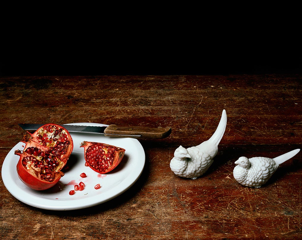 Still Life with Pomegranate and Birds  2009  