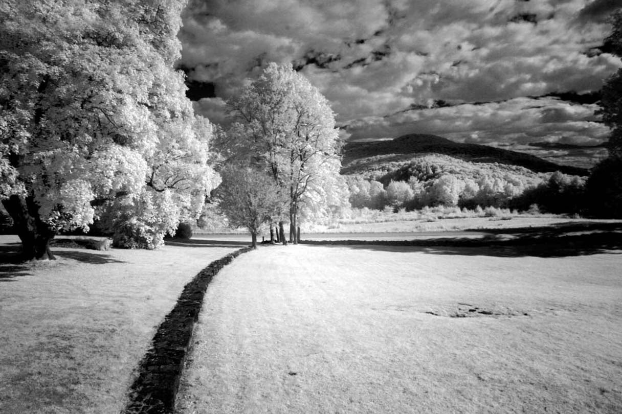 The Long Way Home  2015