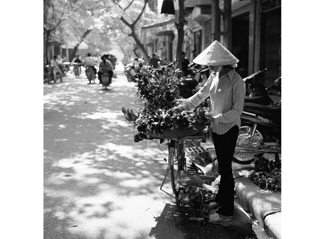 Rose Lady, Hanoi, Vietnam 