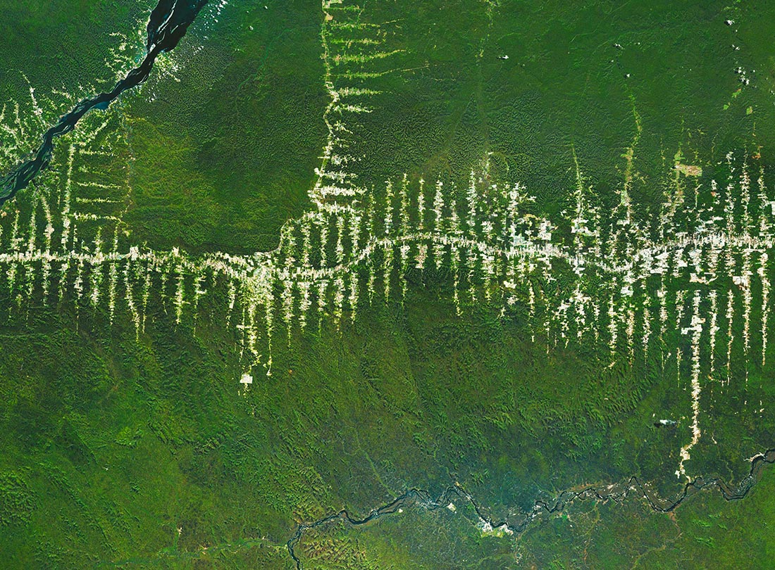 Amazon Deforestation, Pará, Brazil  2015