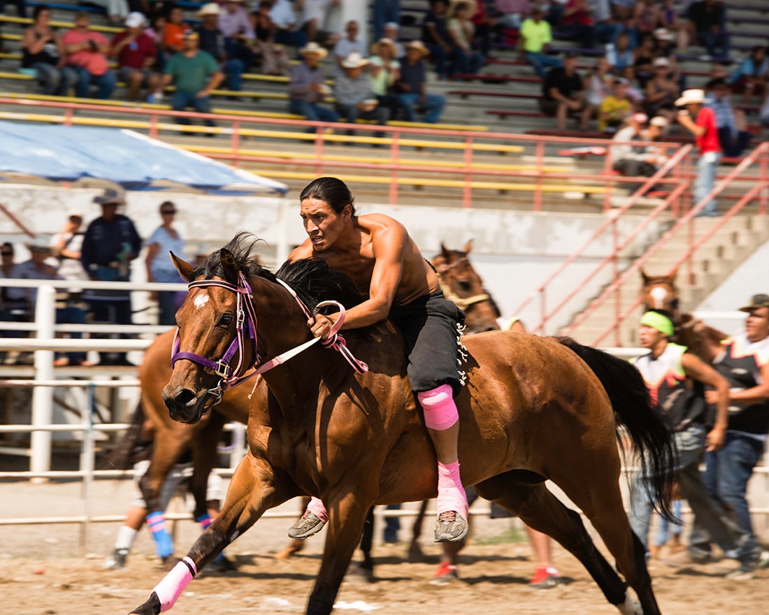 Indian Relay Horse Racing  2015