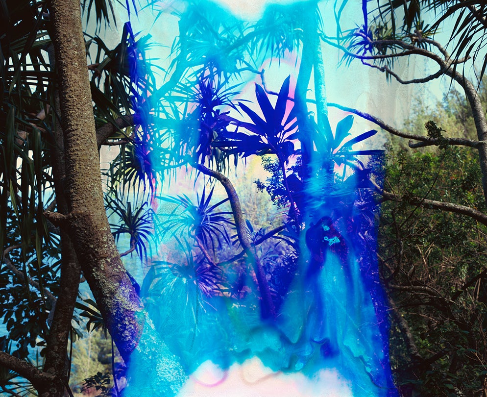 Exit Eden No. 14  2012