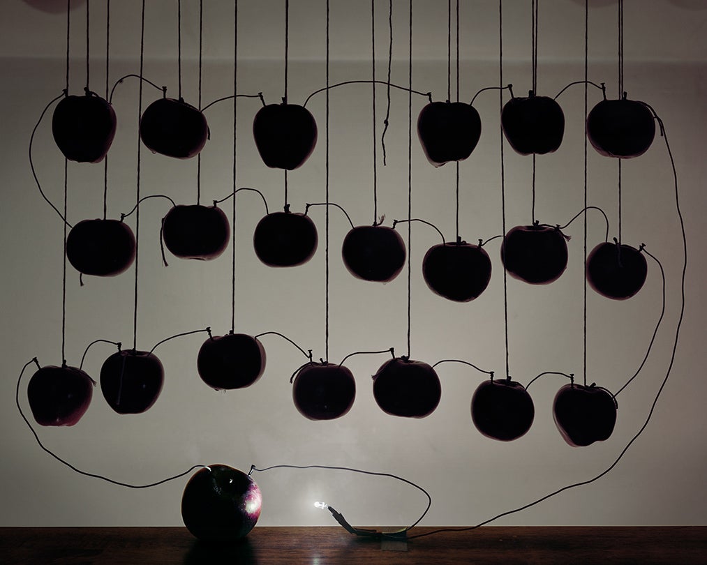 Battery with Hanging Apples  2013