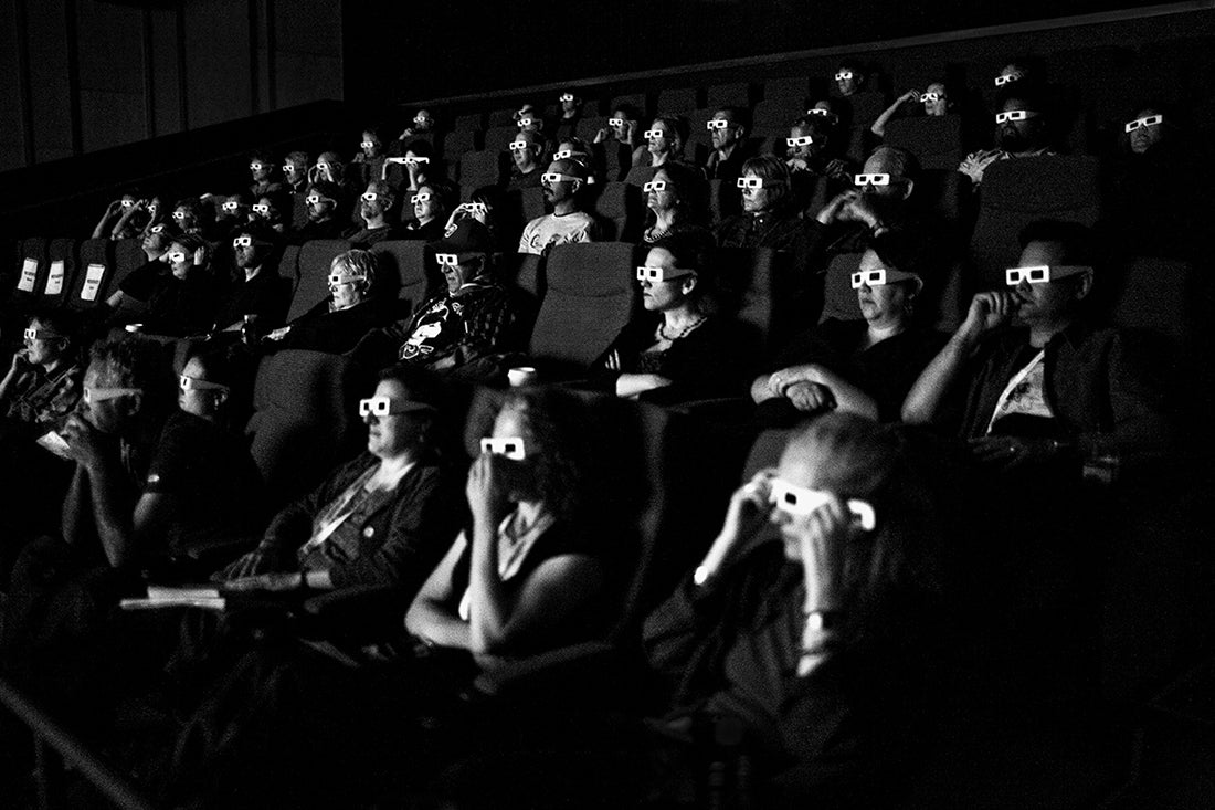 Woodward’s Gardens, Sundance Kabuki Cinema, San Francisco  2008