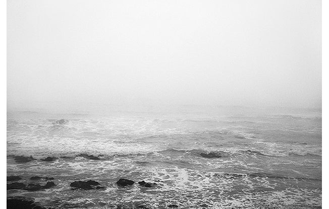 Averi, Half Moon Bay, California  2010  