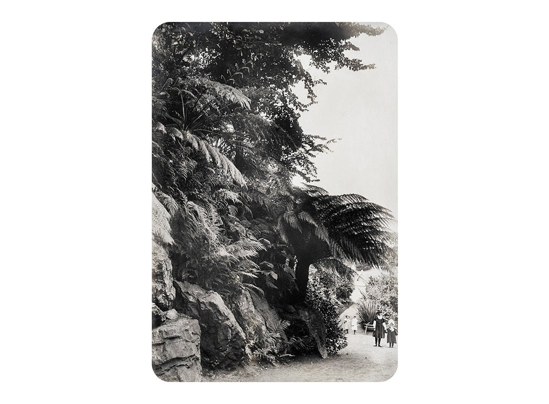 Children walking, Golden Gate Park  c. 1902