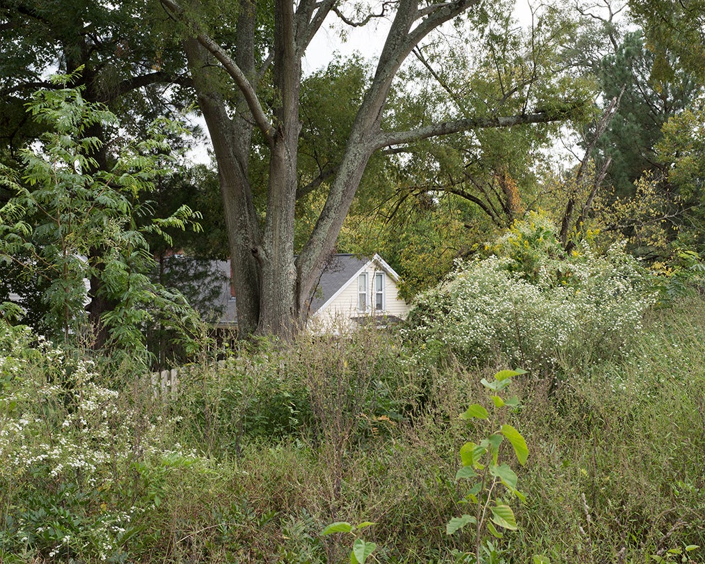 Over the Fence  2014