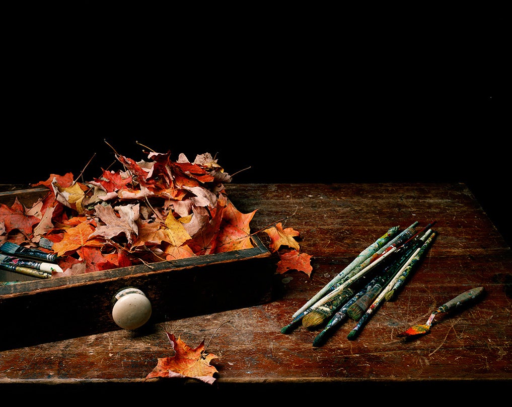 Still Life with Paintbrushes and Leaves  2009