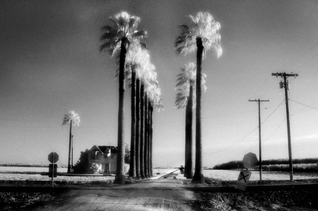 Hopper’s House  2009