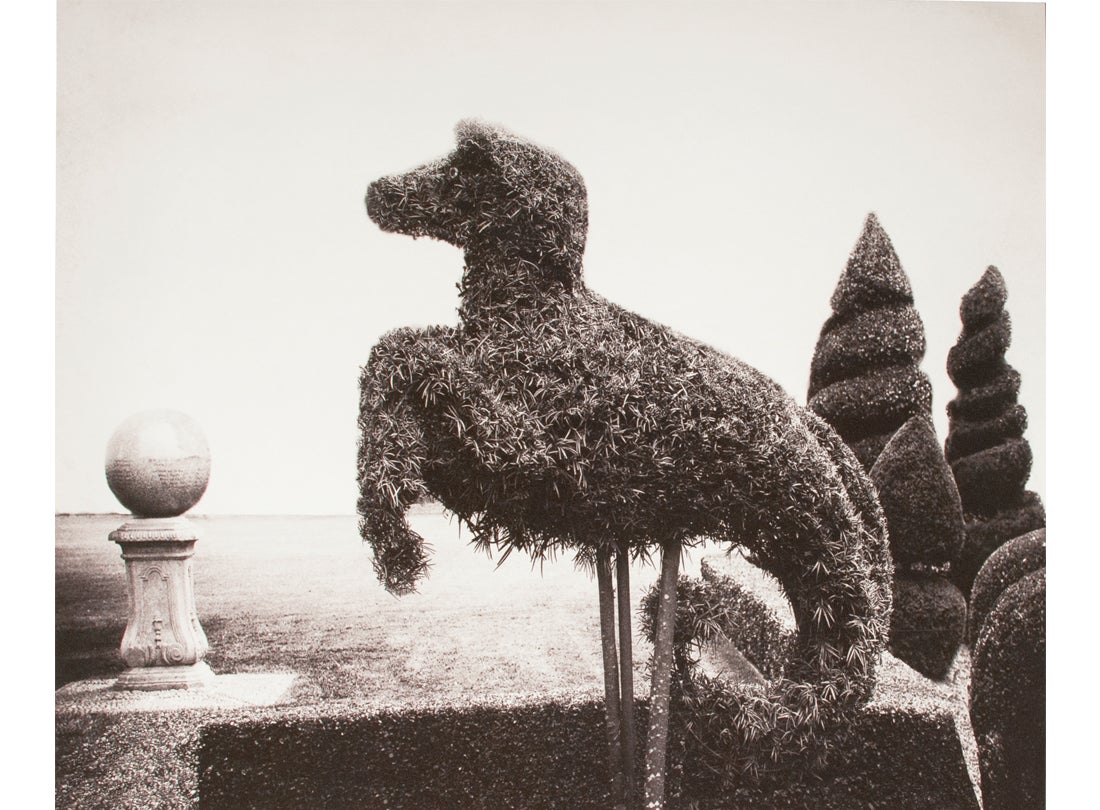 Hope Kahn: Geometry In Nature