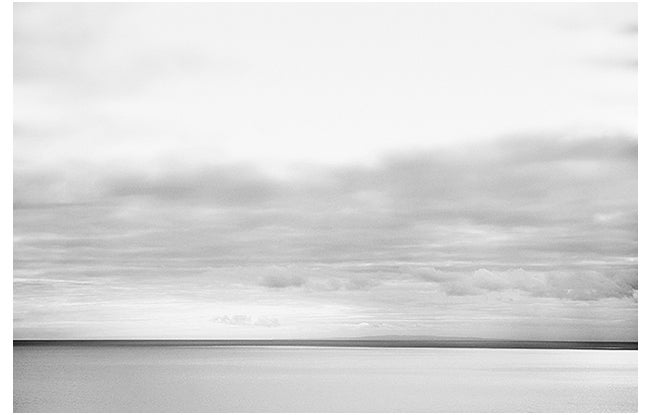 George, Kennebunkport, Maine  2009 