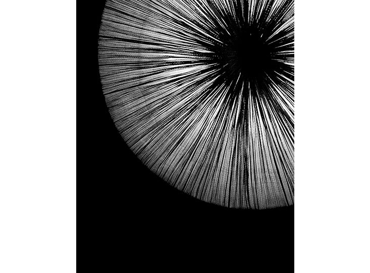 Marilynne Morshead: Pattern Alchemy