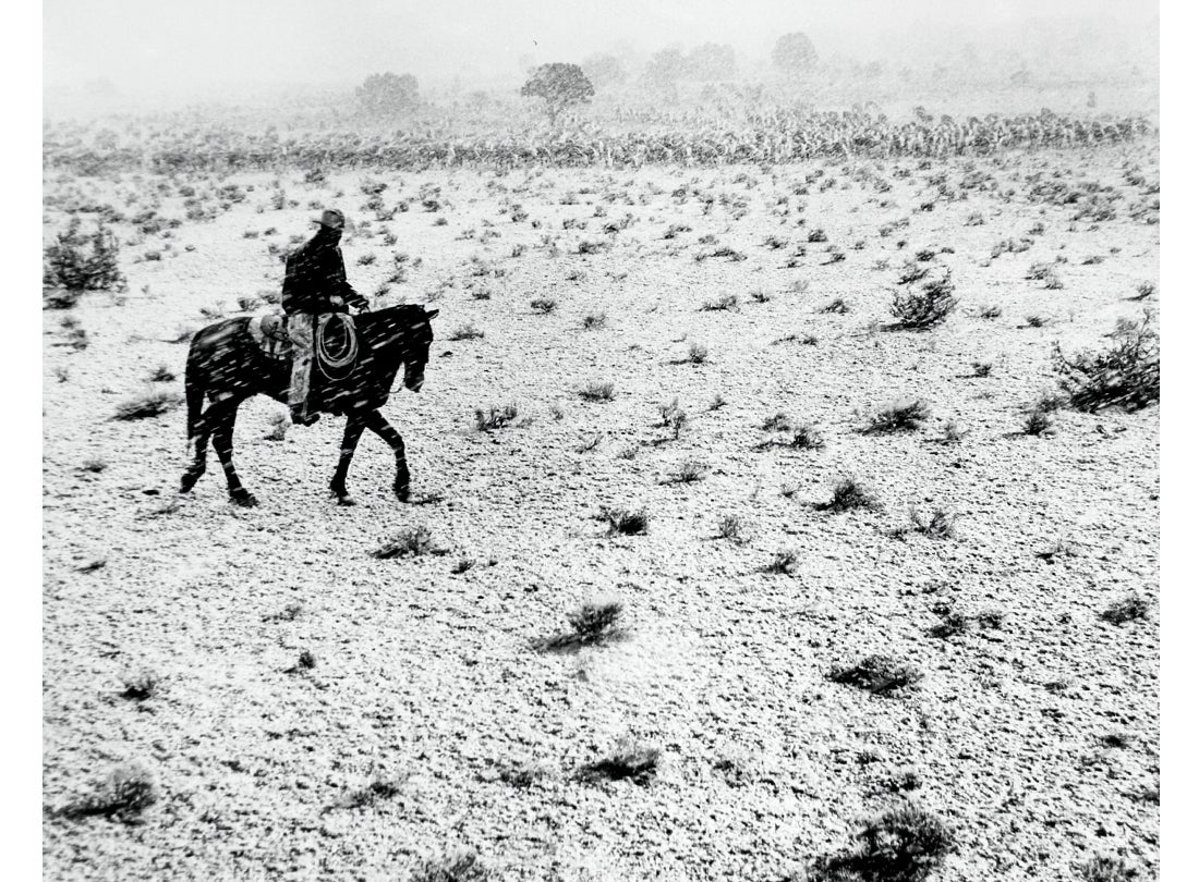 Cowboy, Arizona  1957  