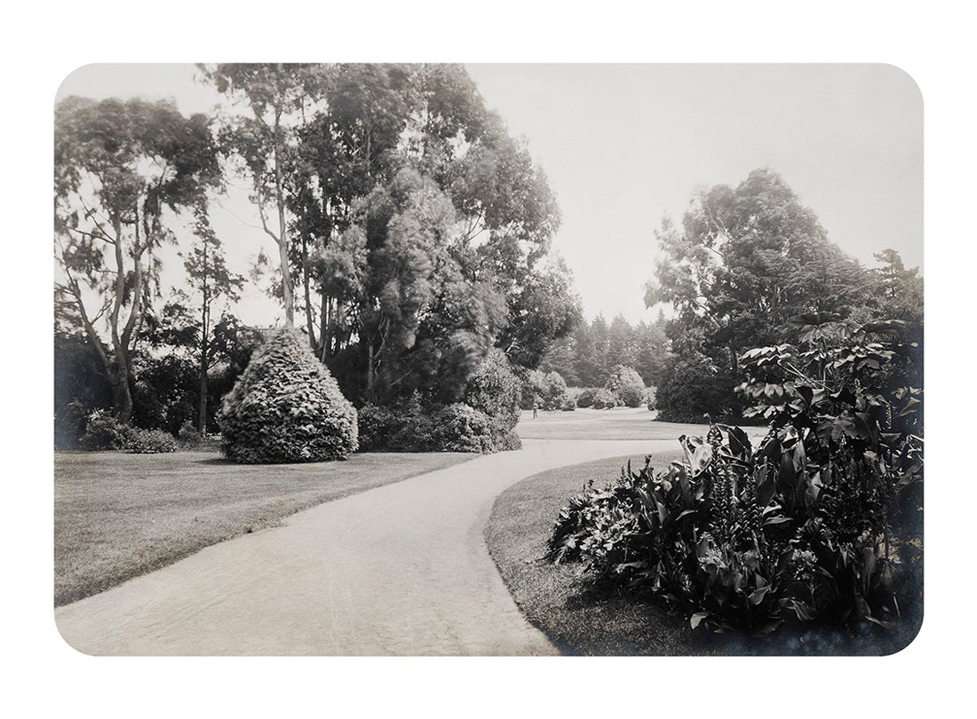Park visitor with bicycle in distance, Golden Gate Park  c. 1896–1902