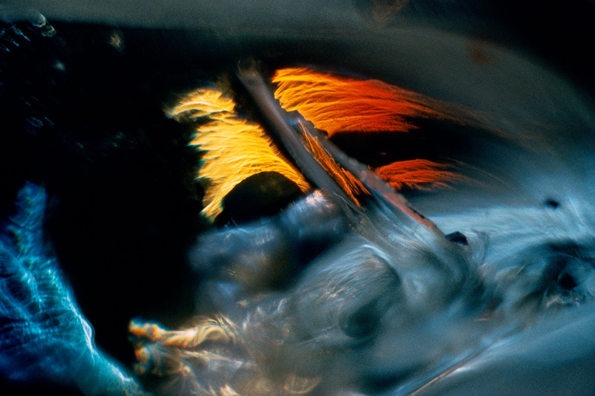 Color Light Abstraction 1071  1960