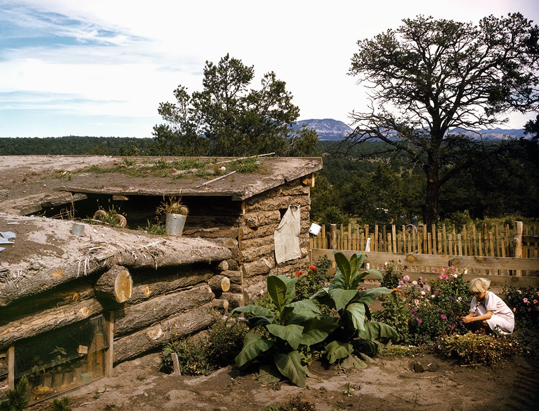 Garden adjacent to the dugout home of Jack Whinery, homesteader, Pie Town, New Mexico  1940