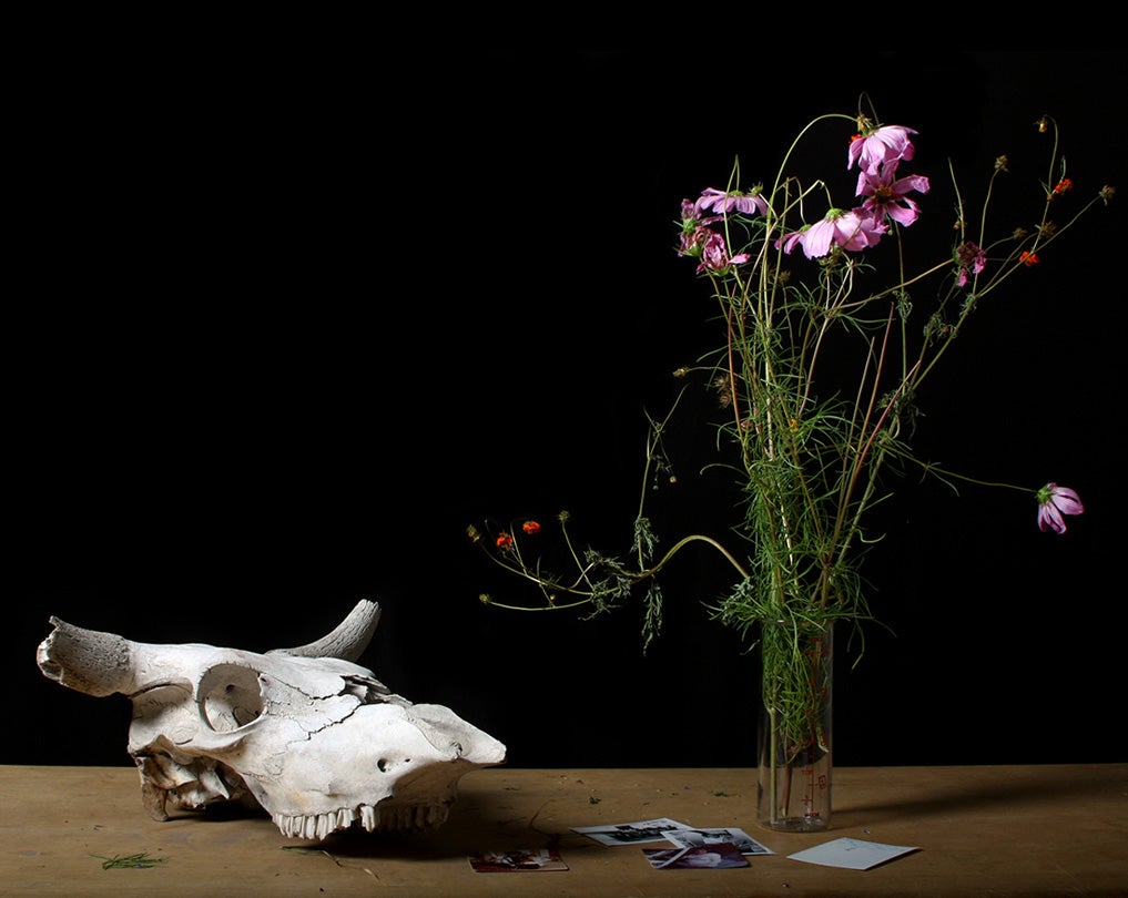 Still Life with Photographs and Skull  2009