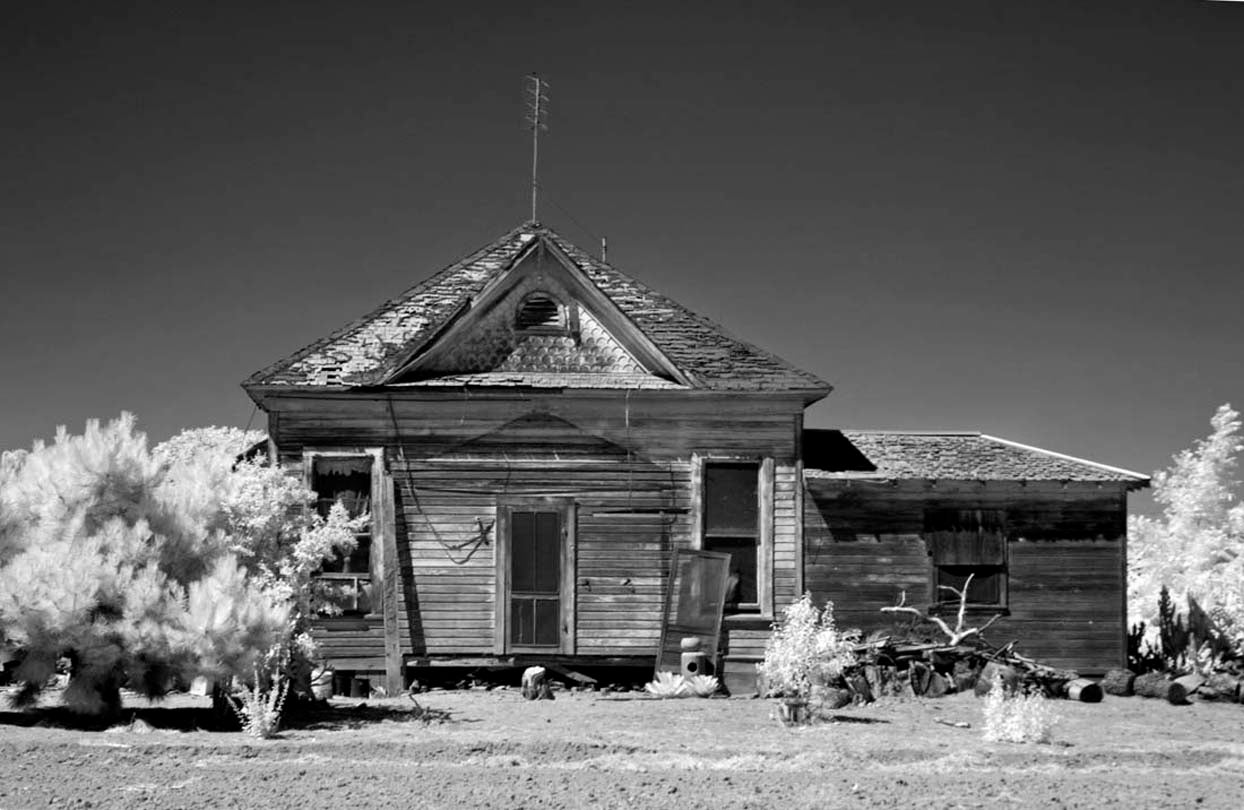 Lost in America  2014