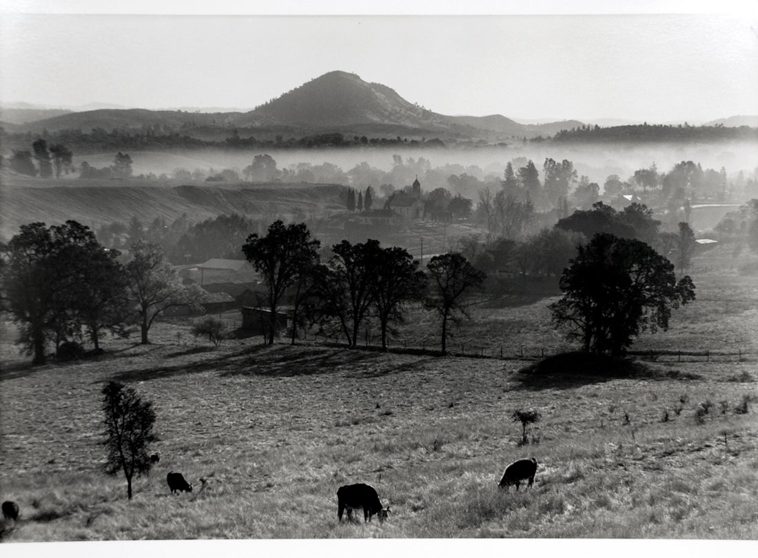 Landscape, Jackson, California  1948 
