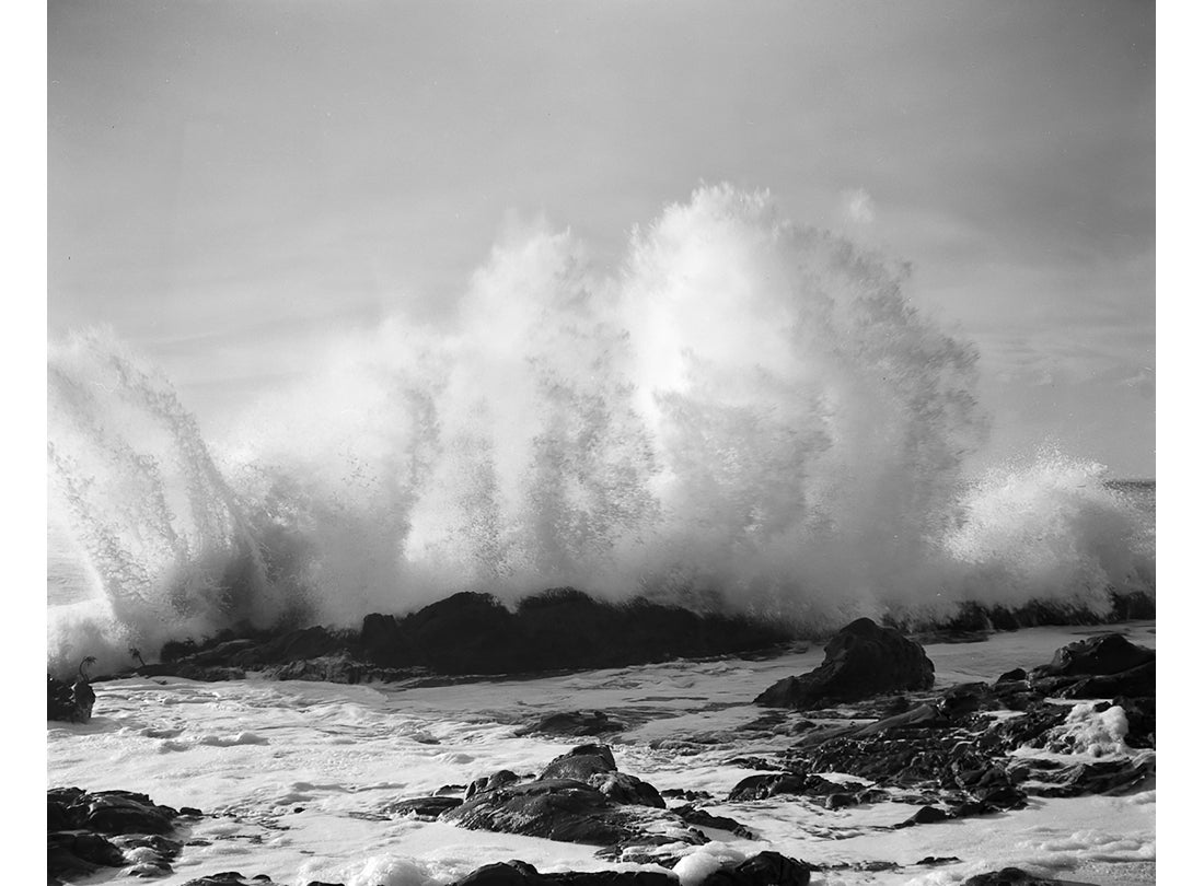 Pescadero, California