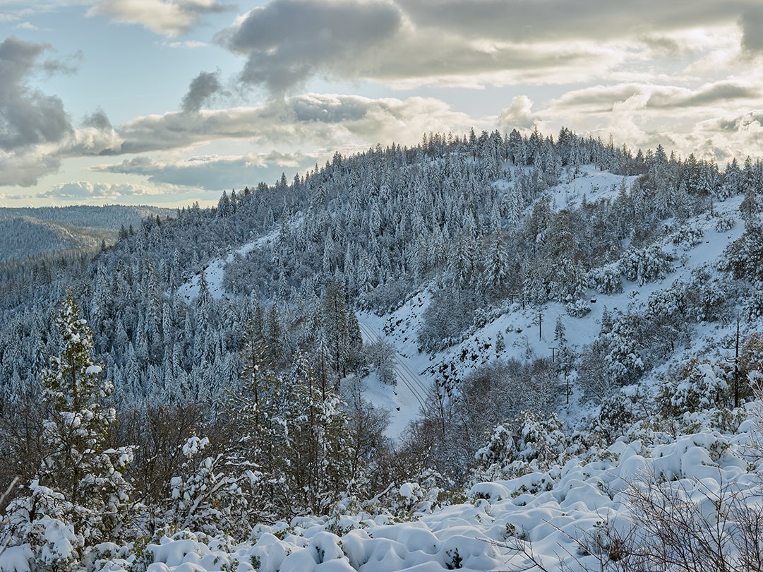 Sierra View, Alta, California  2019