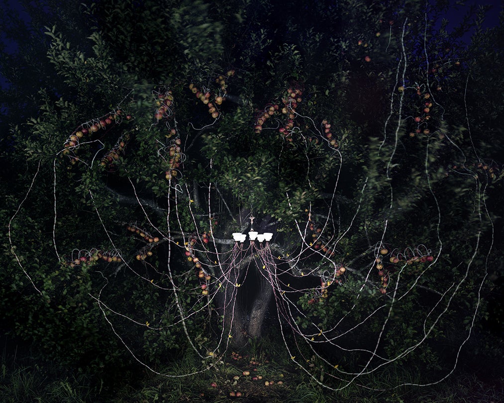 Apple Tree with Chandelier  2013