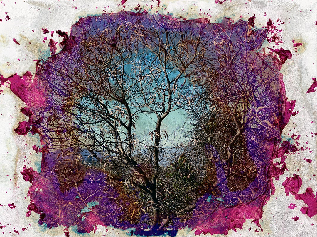 Return to Oblivion No. 8  2016