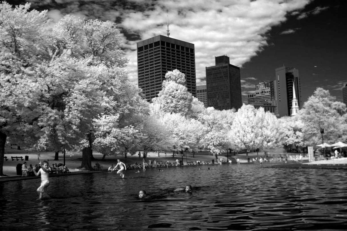 Rockwell’s Summer  2009