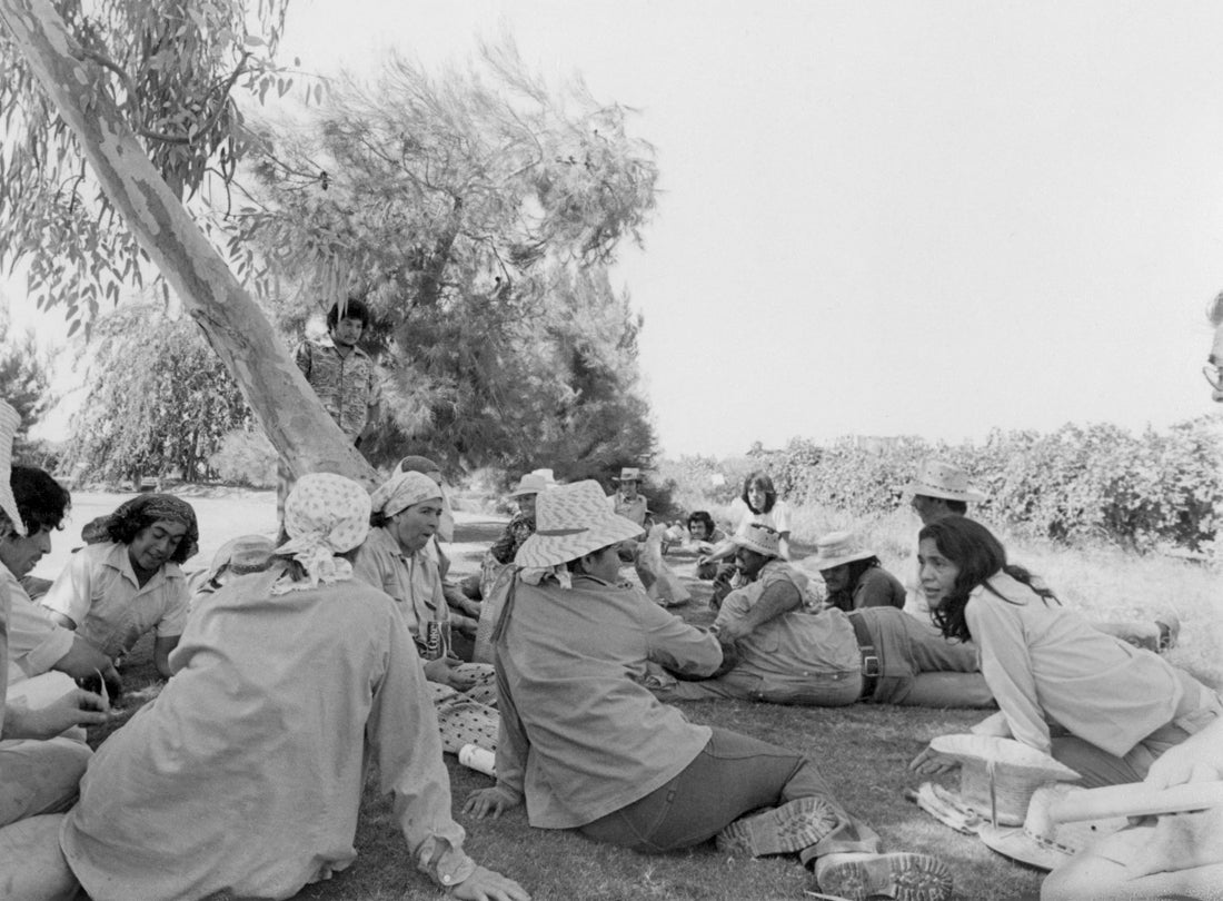 Dolores Huerta and farm workers plan their strategy during a break from work