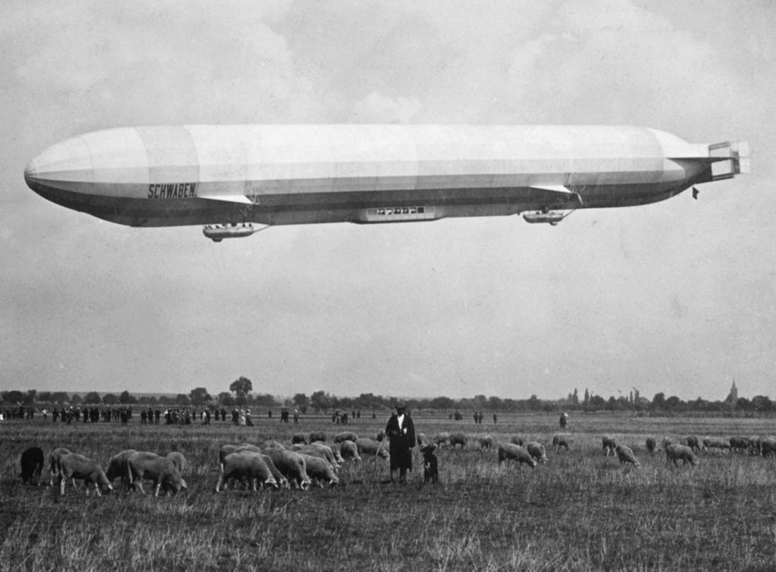Sheep graze on the grass at Friedrichshafen’s airfield as the Schwaben prepares to land  1911