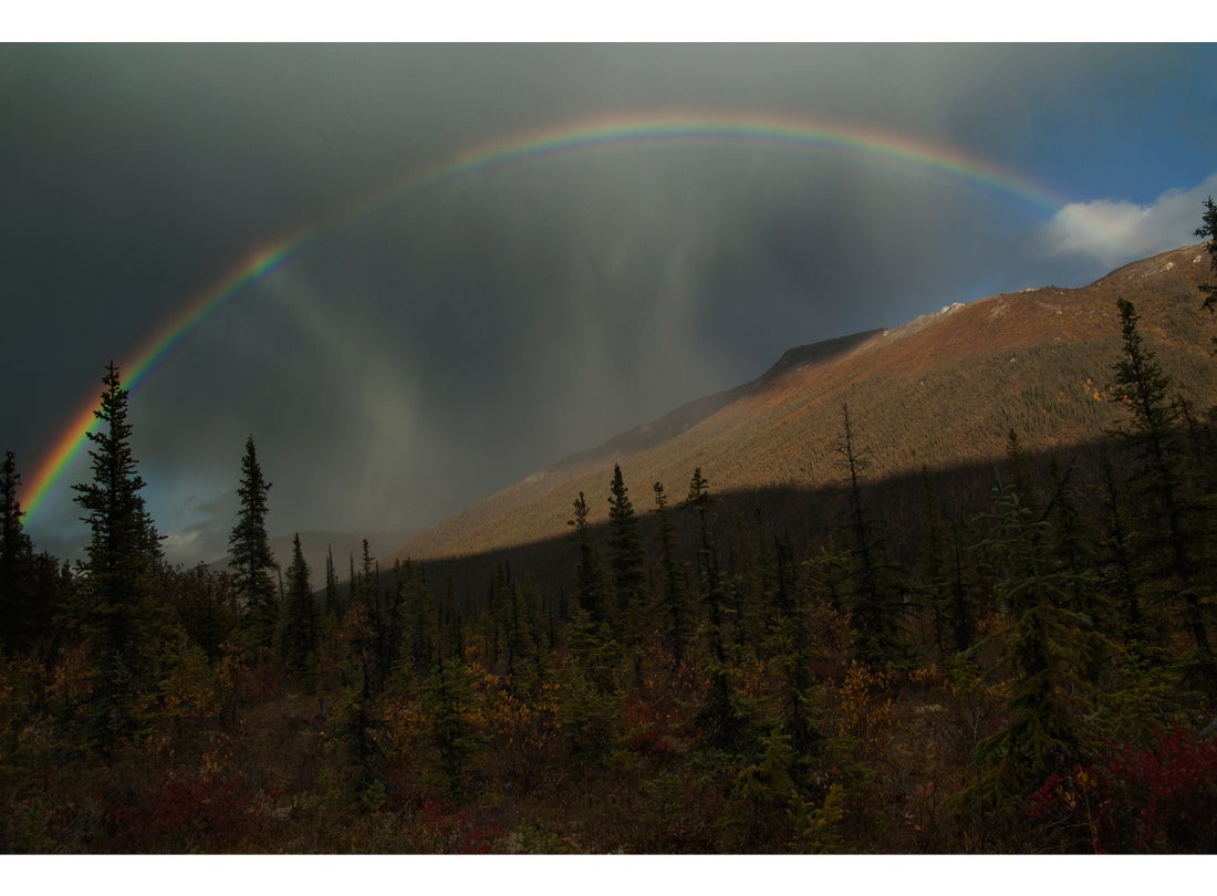 The Beauty of Fall Rains, Brook Range Mountains, Alaska 2011