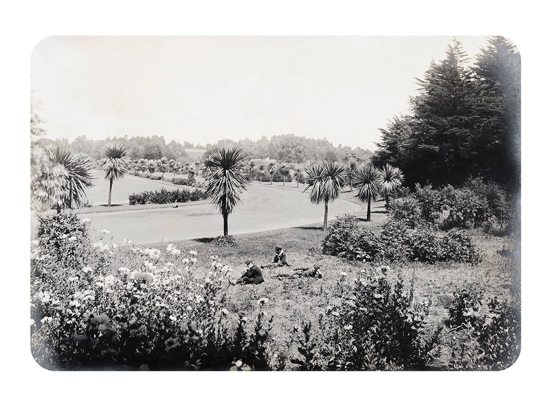 Youth enjoying the sun, Golden Gate Park  c. 1896–1902