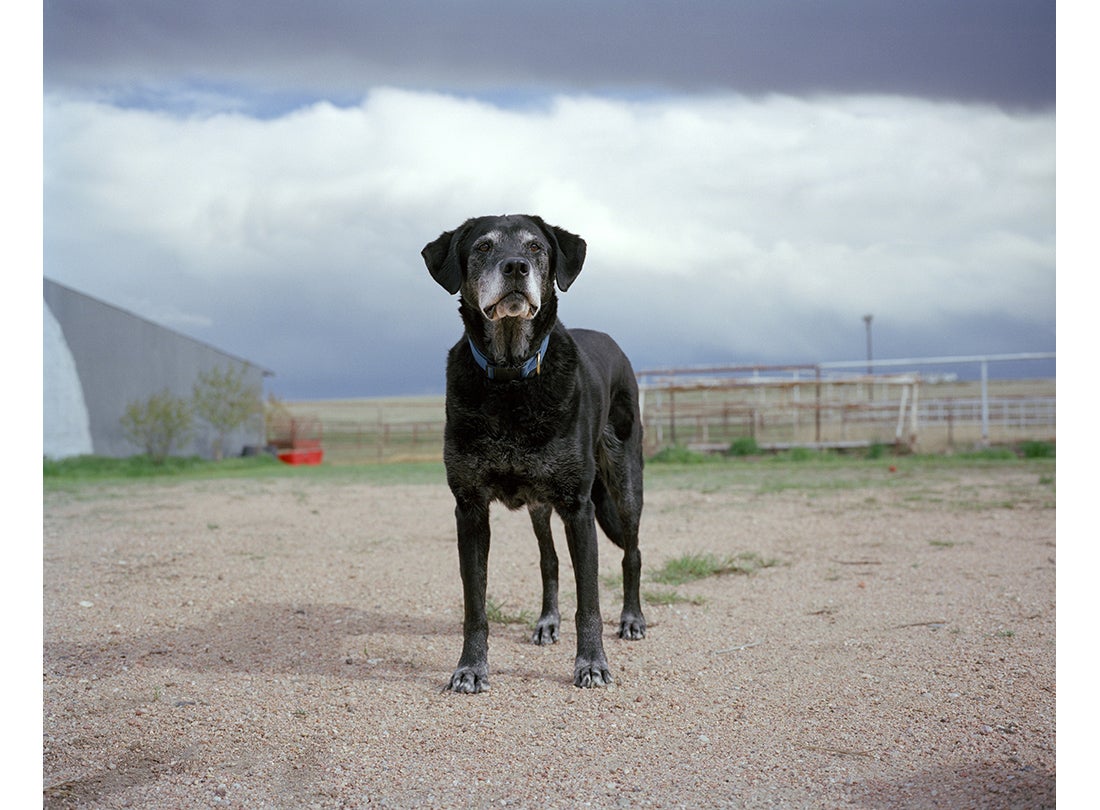 Merlyn, age 14, Otis, CO  2011