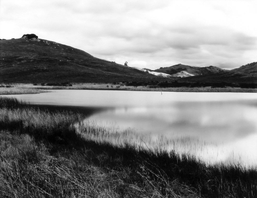 Wetland Pond, Nicasio, Califorina  2006 Art Rogers (b. 1948) gelatin-silver print Courtesy of the artist L2014.2101.006