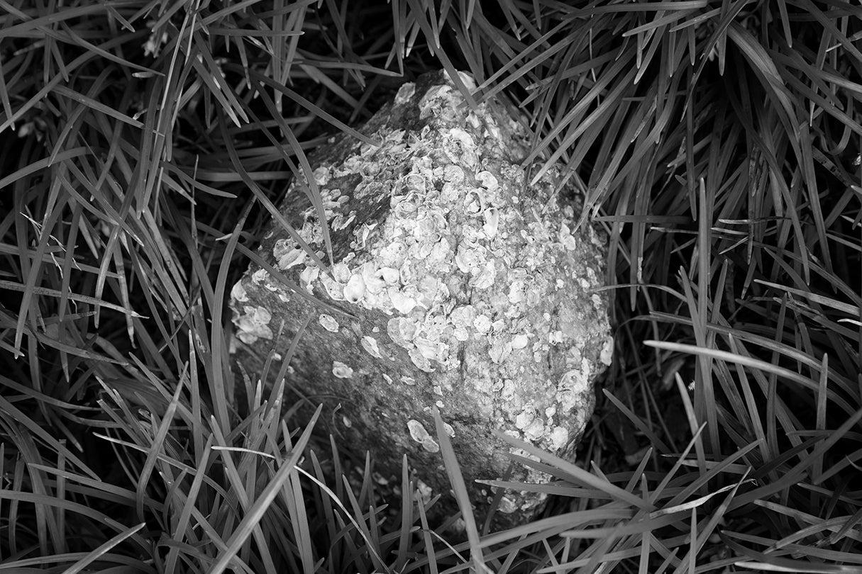 Stone collected from the Inchon Landing, 1950  2017