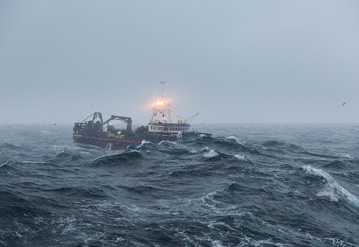 Alaska Knight II  2014