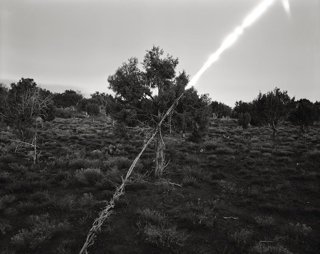 Juniper Moonrise, Tonto National Forest, Arizona  2013