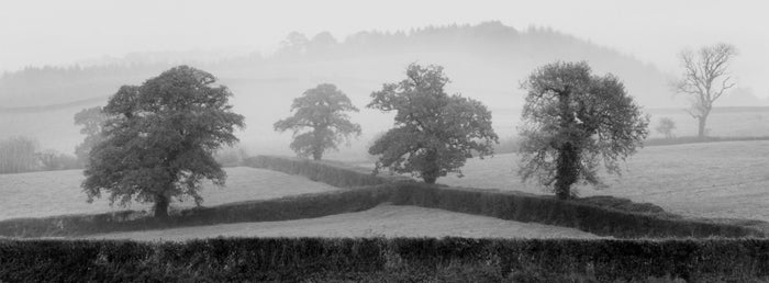 Triangular Enclosure