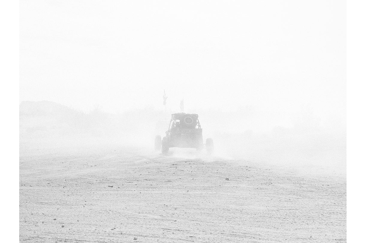 Wonderland (#19-08)  2017