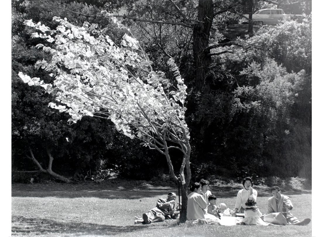Easter Sunday, Golden Gate Park, San Francisco, California  1960  