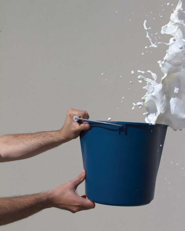 White Wash  2013 Lindsey White (b. 1980) digital print Courtesy of the artist R2014.1901.007