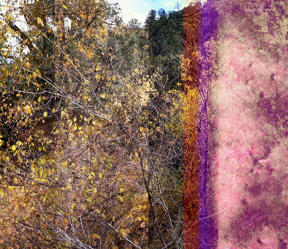 Creative Destruction No. 2  2016