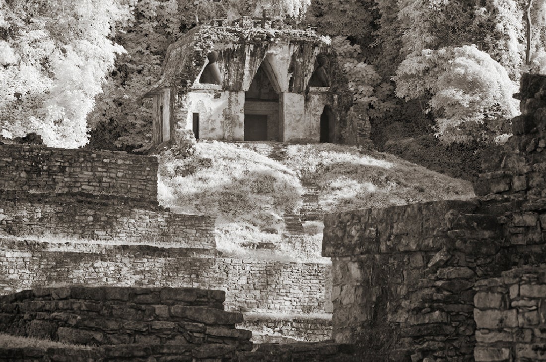 Потерянные мира Артура Друкера Потерянные мира Артура Друкера